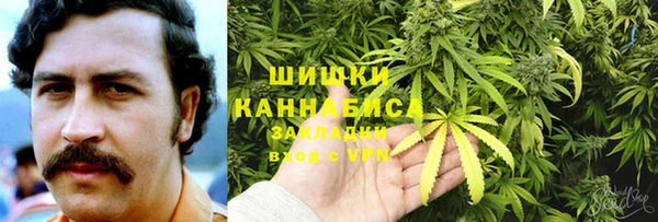 молекула духа Беломорск
